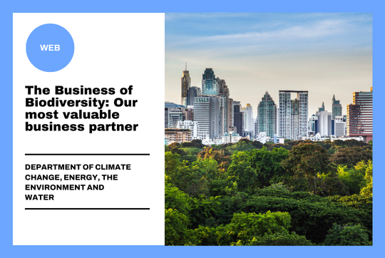 The Business of Biodiversity: Our most valuable business partner