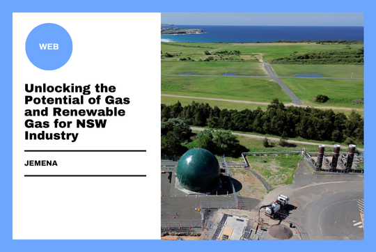 Unlocking the Potential of Gas and Renewable Gas for NSW Industry